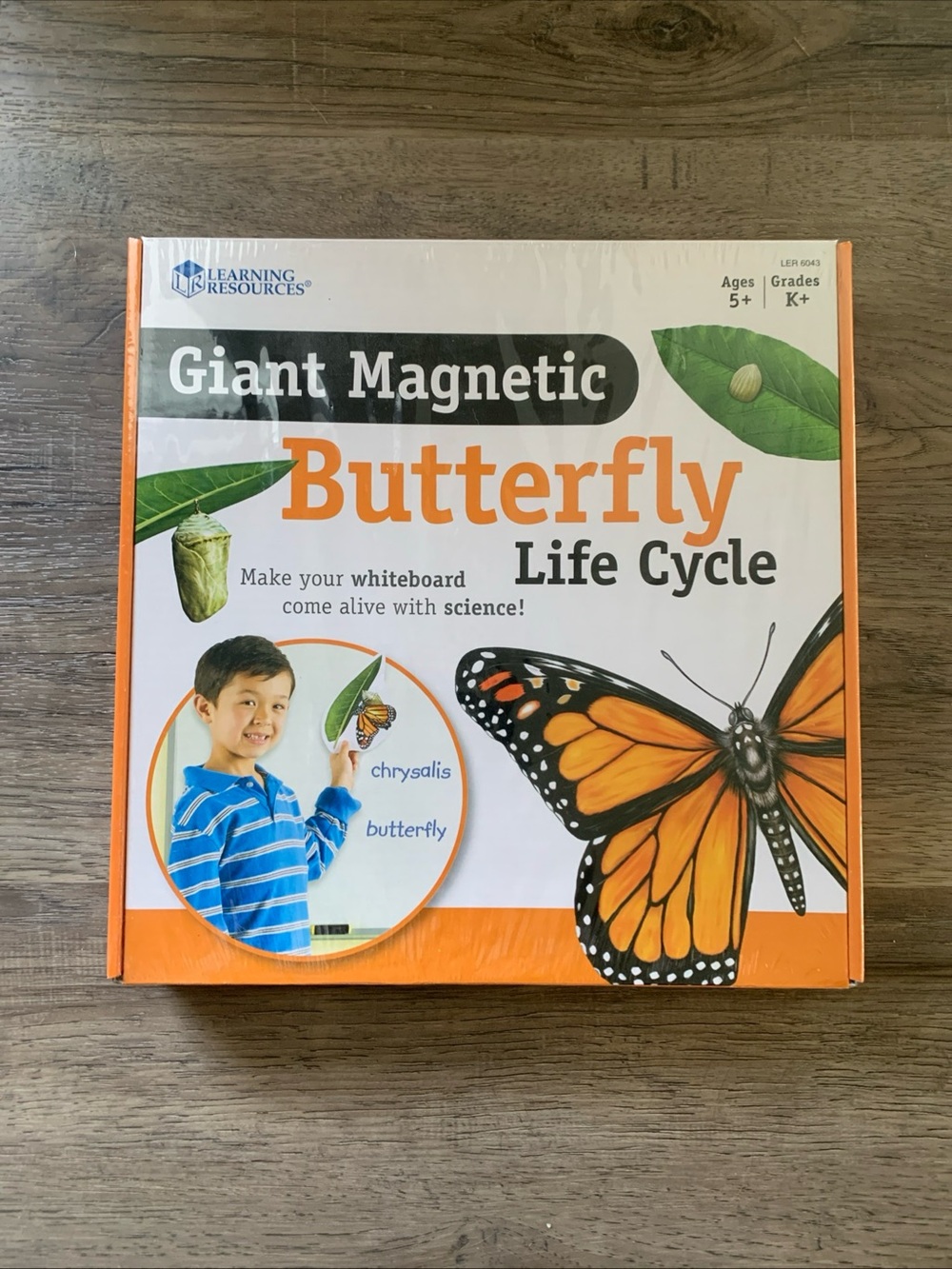 Learning Resources Giant Magnetic Butterfly Life Cycle Brand New